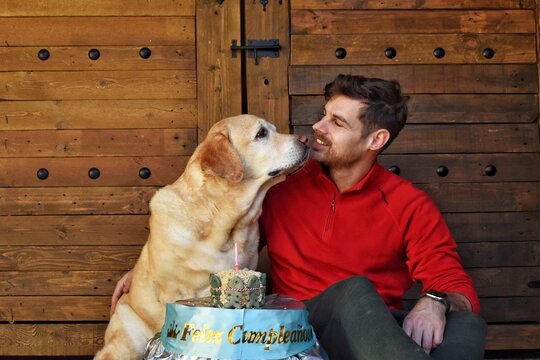Celebrando el cumplea&ntilde;os de un perro labrador