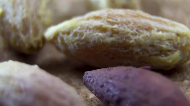 Macro tracking shot over Olea europaea stones, agricultural biomass and organic upcycling concept, natural exfoliant raw material.