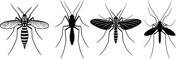 Mosquito insect collection detailed and silhouette flying mosquito pest vector illustration set isolated disease carrier bug design © Hello there