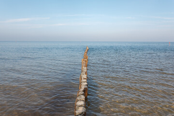 A weathered, wind-bent pine tree with warm reddish-brown bark dominates the foreground of a sandy coastal path leading through dunes toward a calm sea under a soft blue sky