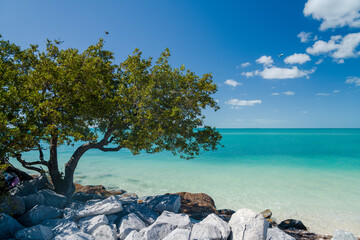 Turkusowa woda na Key West © Tomasz