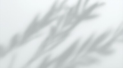 Fototapeta premium Abstract dappled light shadow overlay from tree foliage 