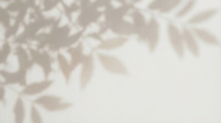 Obraz premium Abstract dappled light shadow overlay from tree foliage 