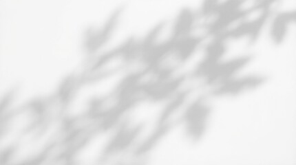 Obraz premium Abstract dappled light shadow overlay from tree foliage 