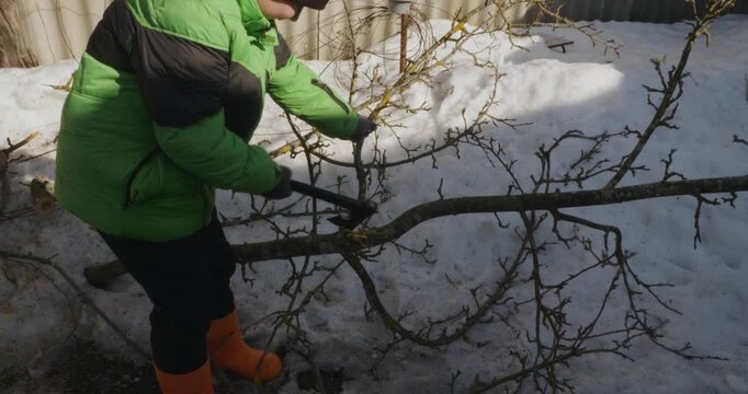 Young boy using an axe to cut branches from a fallen tree in a snowy backyard, helping with seasonal garden maintenance and learning valuable outdoor skills during early spring.