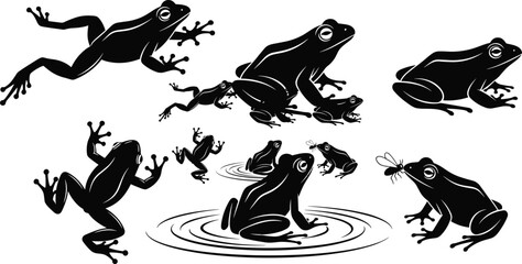 Frog silhouette vector set, jumping and sitting frogs with insect hunting scenes amphibian wildlife black illustration collection design © Shahanaj
