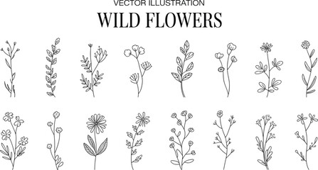 Elegant Hand-Drawn Wildflower Vector Illustrations Set A Collection of Delicate Botanical Line Art for Vintage-Inspired Design Projects © MstSharifa