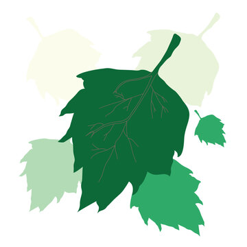 Abstract Nature Background with Organic Leaf Shapes