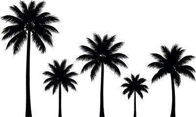Obraz premium Silhouettes of palm trees on a white background