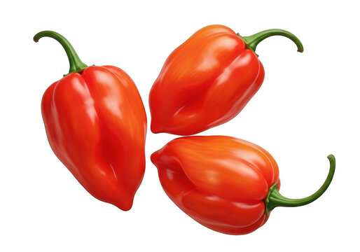 Three vibrant habanero peppers displayed ideal for culinary or design projects on transparent background