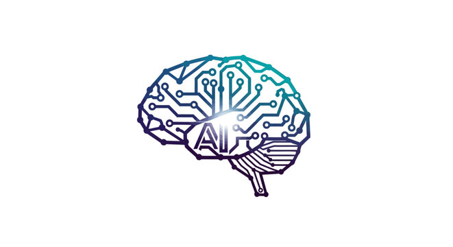 Human Brain Anatomy Illustration.