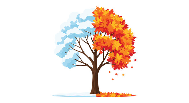 A single deciduous tree is visually split, showing one half covered in white snow and the other half with vibrant orange autumn leaves.