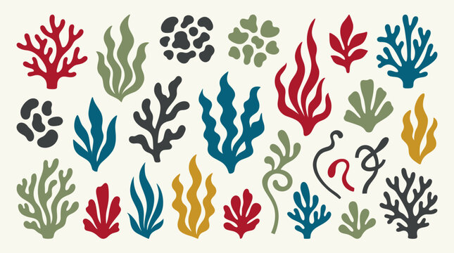 Colorful illustration of various seaweeds and corals.