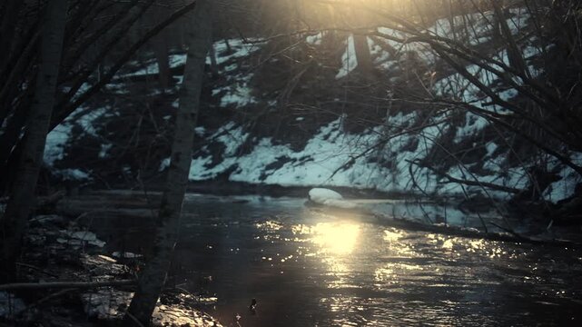 forest river
