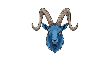 Fototapeta premium A detailed headshot of a blue ram, facing directly forward, featuring large, textured, light brown horns and dark, focused eyes.