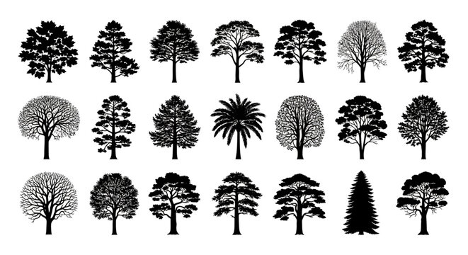 Collection of diverse black silhouette tree shapes representing various species and forms.