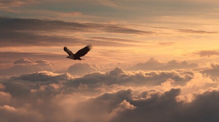 Fototapeta premium Majestic fish eagle soaring over cloudscape at dusk nature scene aerial view