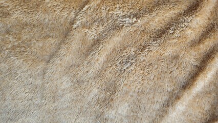 Soft Beige Carpet Texture Background, Cozy Fabric Surface. elephant skin texture with deep wrinkles. Abstract nature texture of wrinkled elephant or rhino skin.  © phengsstst