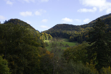 Obraz premium Hiking in the forest autumn time 