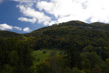 Obraz premium Hiking in the forest autumn time 