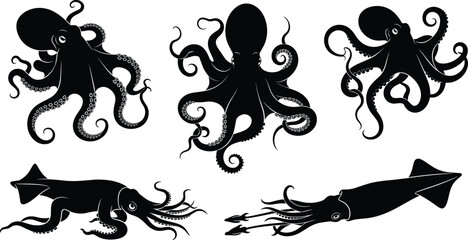 Black silhouette illustration set of octopus and squid marine animals, showcasing tentacles, body shapes, and ocean wildlife, perfect for biology, marine studies, and educational design. © MdAzmol
