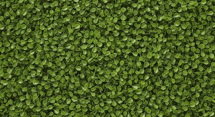 A clean, uniform texture of a trimmed green boxwood hedge or artificial grass wall.