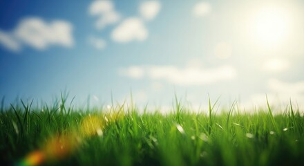 Fototapeta premium Celebrating world environment day with a serene green landscape and blue sky