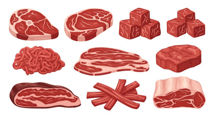 Fototapeta premium Assorted Raw Meat Cuts - Steaks, Ground, Cubed, Ribs - Flat Vector Art