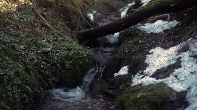 waterfall in the forest