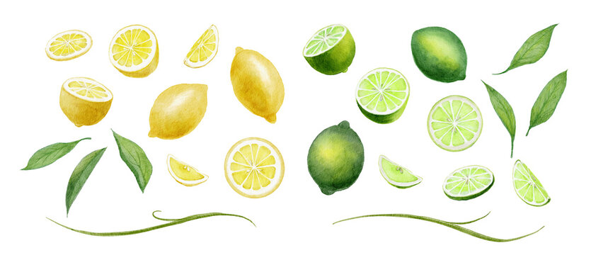 Watercolor lemon and lime fruit set, hand-painted fresh yellow and green citruses with slices and leaves-300dpi-	