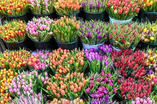 Fiori recisi, mazzi di tulipani, in vendita al mercato