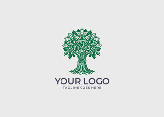 Obraz premium Vintage Woodcut Style Oak Tree Logo with Owl and Acorns Illustration