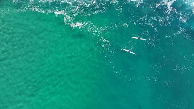 Incredible Aerial View of Kayaker Paddling Over Sharks in Crystal Clear Turquoise Water - Hadera, Israel