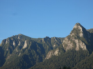 Obraz premium Rocky Peaks of the Carpathian Mountains Under Clear Blue Sky