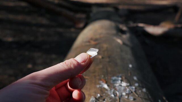 A close-up view of a hand holding a sharp broken glass shard over a fallen log in a sunny forest. Concept of environmental pollution, dangerous littering, and human impact.