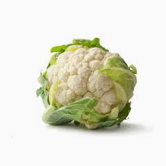 cauliflower isolated on white