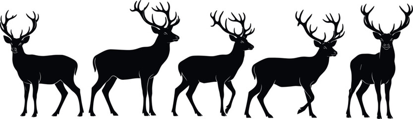 Obraz premium Deer Stag Silhouette Set Featuring Standing Walking And Alert Poses Isolated Black Wildlife Vector Illustration Collection