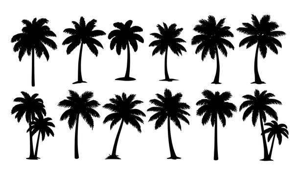 Tropical palm tree silhouettes vector set for beach and summer design