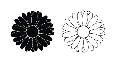Two daisy flower illustrations one dark and one light a striking silhouette © MdAbulBasher