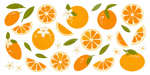 A vibrant collection of oranges orange slices blossoms and green leaves