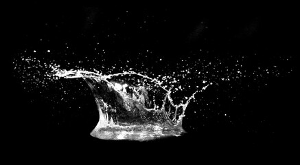 Elegant splash of water captured in motion. Water creates a unique shape with a black background