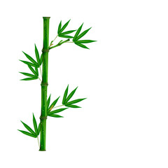 Naklejka premium bamboo isolated on white background