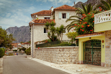 Fototapeta premium Kotor, Montenegro, July 30 2014: Charming streets of Kotor adorned with traditional stone houses and vibrant greenery, inviting exploration