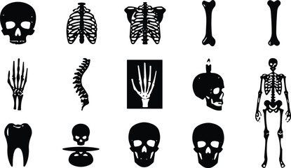 Human skeleton silhouette illustrations, skulls, rib cage, spine, bones, anatomy icons, medical education, Halloween art, creative skeletal design collection © MDMAHOMUDUL