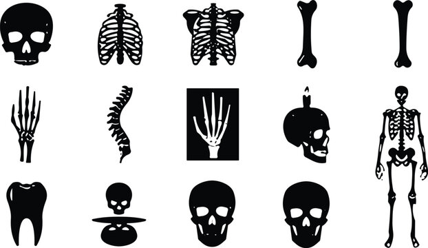 Human skeleton silhouette illustrations, skulls, rib cage, spine, bones, anatomy icons, medical education, Halloween art, creative skeletal design collection
