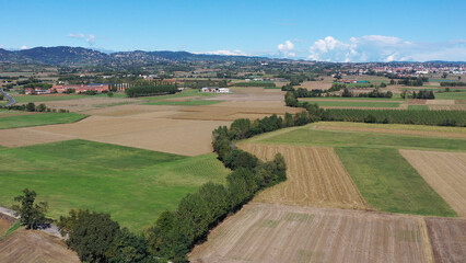 Obraz premium cultivated fields in Piedmont, Italy