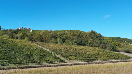 Obraz premium cultivated fields in Piedmont, Italy