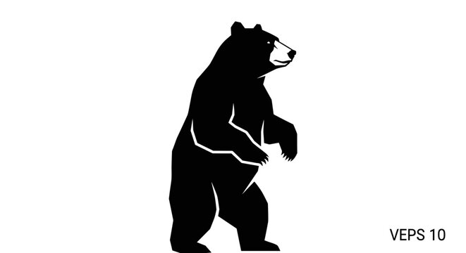 Black bear standing on two legs.