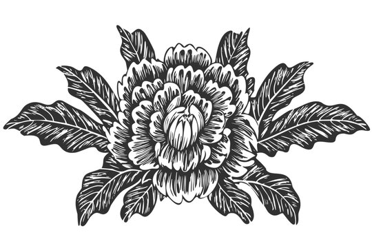 Carved floral rose with leaves art design, black white monochrome hand carved etched decoration, wooden block printing flower folk pattern, intricate bold lines graphic vector botanical ornament