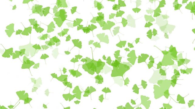 紅葉 いちょう 大小 左から右 みどり パターン01 ループ（白背景）